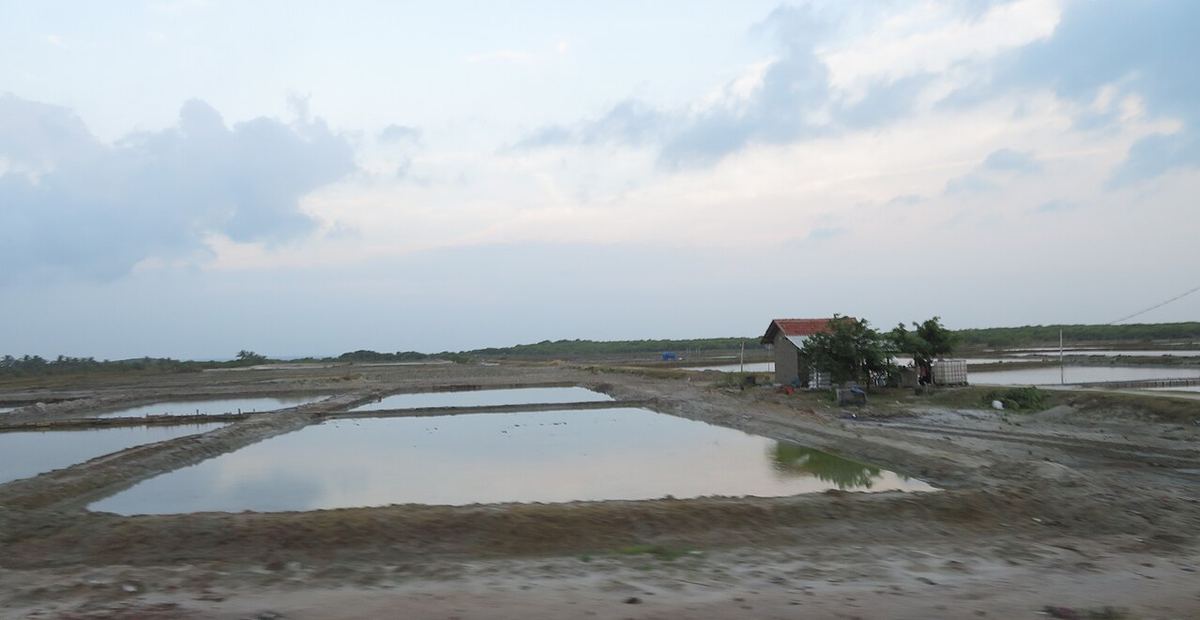 Kalpitiya Kitesurfing