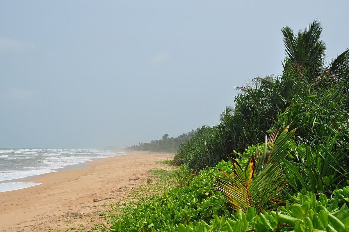 Bentota Beach Escape