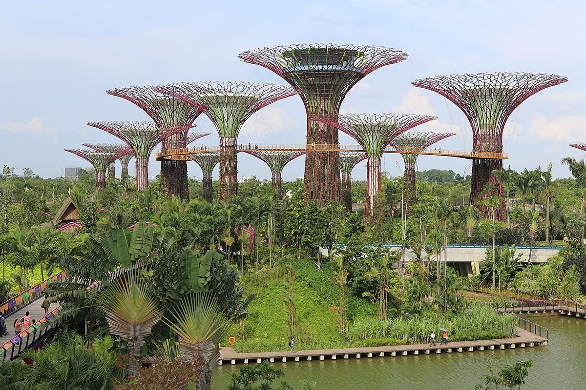 Singapore Urban Escape